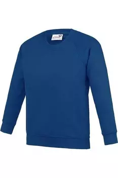 Толстовка AWDis Academy Raglan, royal
