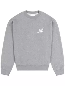 Толстовка Axel Arigato Rook, серый