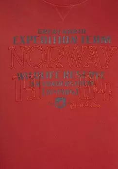 Толстовка AZZO Jan Vanderstorm, красный