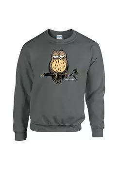 Толстовка Bad Nature Owl rockshirts, цвет grey