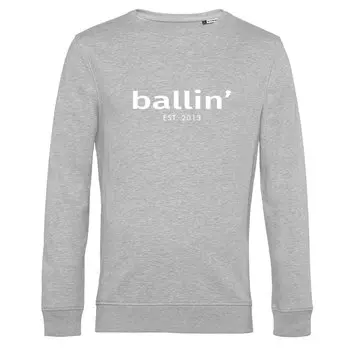 Толстовка Ballin Basic, серый