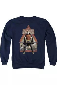 Толстовка Batman Arkham City Arkham Robin для взрослых с круглым вырезом Gildan, темно-синий