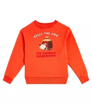 Толстовка bear из хлопкового джерси The Animals Observatory, красный