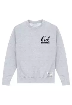 Толстовка Berkeley University Cal Henry Tiger, цвет heather grey