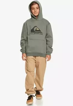 Толстовка BIG LOGO YOUTH Quiksilver, цвет laurel wreath