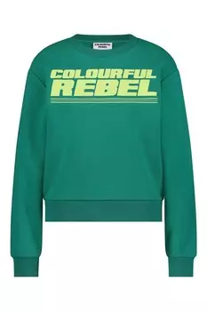 Толстовка BOLD PUFF LOGO RELAXED Colourful Rebel, зеленый
