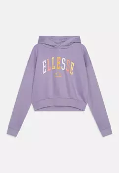 Толстовка BUCCIO Ellesse, цвет purple