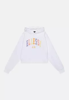 Толстовка BUCCIO Ellesse, цвет white