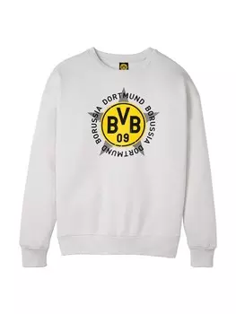 Толстовка BVB Merchandising GmbH grey, цвет grau (silbergrau)