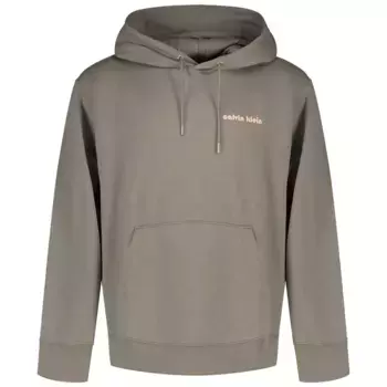 Толстовка Calvin Klein Jeans Monologo 350 Terry Bauhaus, серый