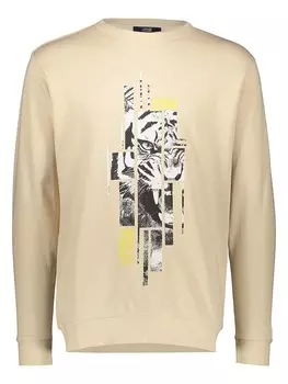 Толстовка cavalli CLASS, бежевый