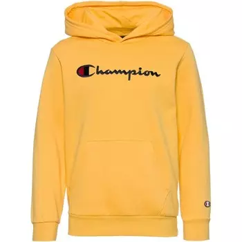 Толстовка Champion Authentic Athletic Apparel Legacy Icons, темно-желтый