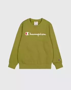 Толстовка Champion "Crewneck Sweatshirt", цвет Gnum