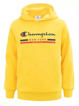 Толстовка Champion Hooded Sweatshirt, разноцветный