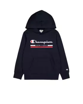 Толстовка Champion с капюшоном "Hooded Sweatshirt", цвет Nny