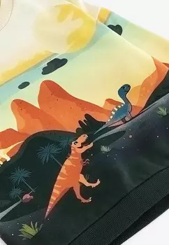 Толстовка CHARACTER SCENE CREW NECK ., REGULAR FIT Next, оранжевый