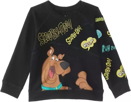 Толстовка Chaser Scooby Doo - Mash Up Pullover, цвет Shadow