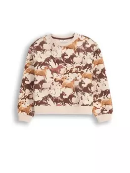 Толстовка Coccodrillo, бежевый