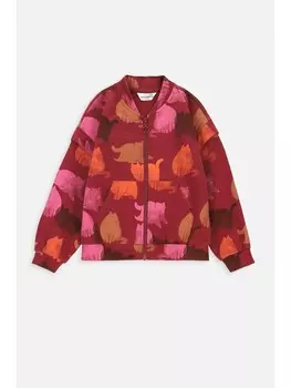 Толстовка Coccodrillo, цвет dunkelrot