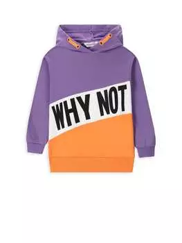 Толстовка Coccodrillo, фиолетовый