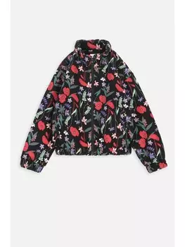 Толстовка Coccodrillo, красочный