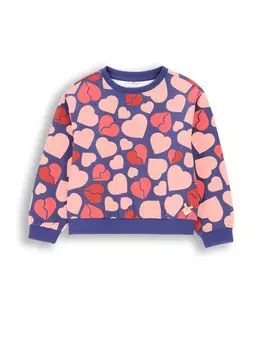 Толстовка Coccodrillo Sweatshirt, красочный