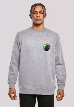 Толстовка COLORFOOD COLLECTION RAINBOW APPLE F4NT4STIC, серый