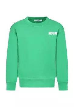 Толстовка Con Logo MSGM, зеленый