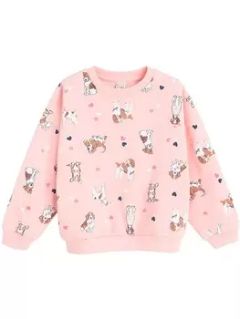 Толстовка COOL CLUB Sweatshirt, красочный