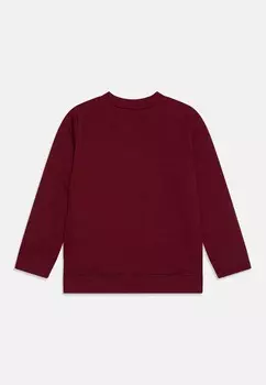 Толстовка CORNELL CLASSIC YOUTH Element, Бордо