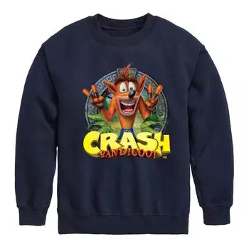 Толстовка Crash Bandicoot для мальчиков 8–20 лет Licensed Character, синий