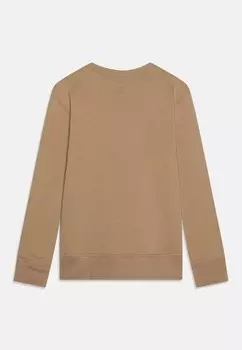 Толстовка CREW BOYS GAP, разноцветный