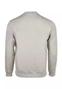 Толстовка CREWNECK LANGARM LOGO Champion, бежевый