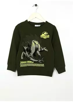 Толстовка цвета хаки для мальчика NMMJOVAN JURASSIC SWEAT UNB VDE Name t, хаки