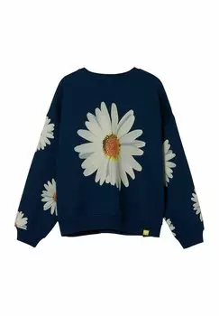 Толстовка Daisy Desigual, синий