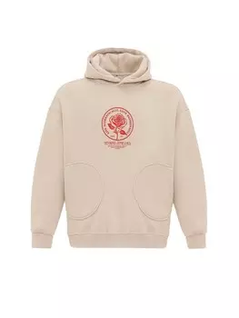 Толстовка Dandalo Patrick, серый