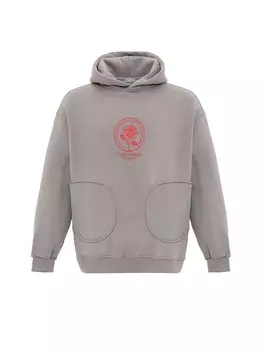 Толстовка Dandalo Patrick, серый