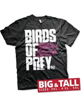 Толстовка DC Birds Of Prey, черный