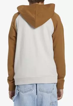 Толстовка DC Shoes, белый