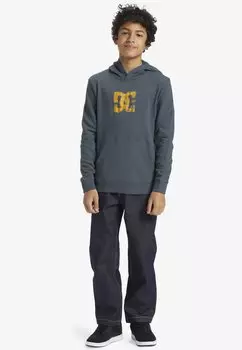 Толстовка DC Shoes, цвет bzj stormy weather