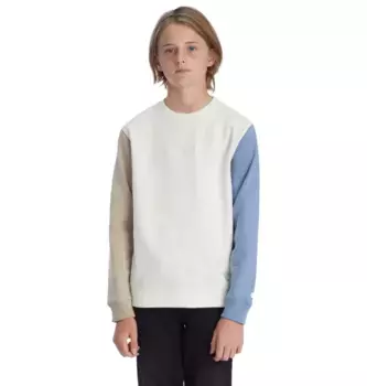 Толстовка DC Shoes "Riot", белый