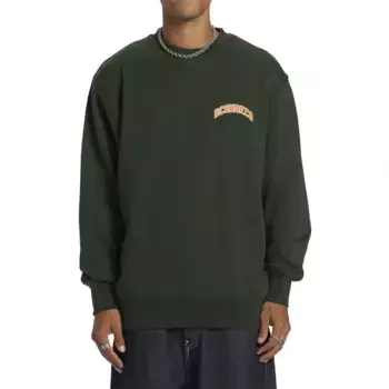 Толстовка Dc Shoes Varsity, зеленый