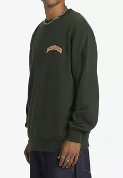 Толстовка DC Shoes, зеленый