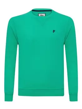 Толстовка Denim Culture NICHOLAS, цвет Jade