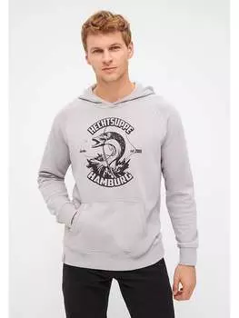 Толстовка Derbe Hoodie, светло-серый