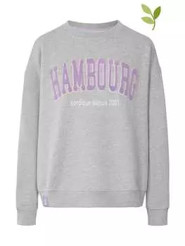 Толстовка Derbe, серый