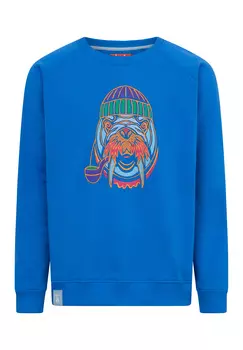 Толстовка Derbe Walross, цвет Princess Blue