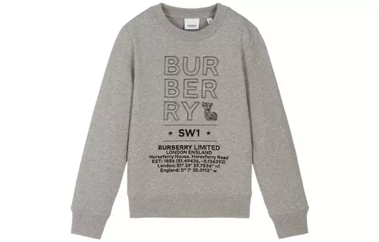 Толстовка детская Burberry, серый