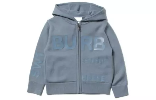 Толстовка детская Burberry, серый / синий