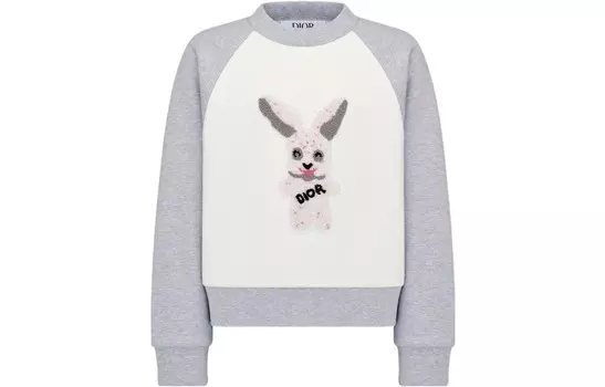 Толстовка детская Dior с принтом, серый